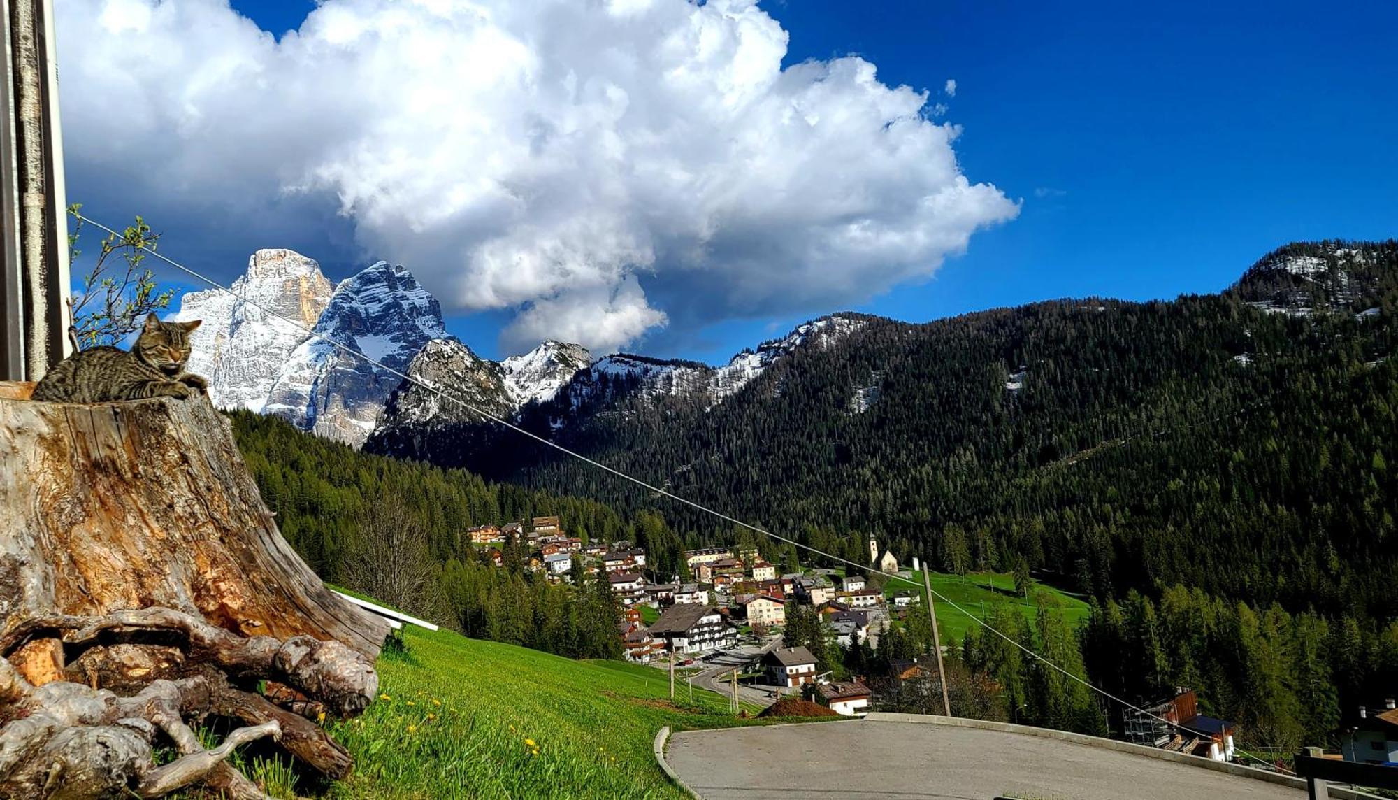 Hotel Garni Ongaro Selva di Cadore Exteriér fotografie